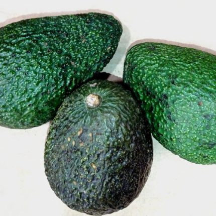 Avocado Italiano Biologico – varietà Hass 6 Pezzi
