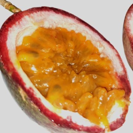 Passion Fruit Italiano Biologico 6 Pezzi