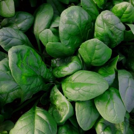 Spinacino 1Kg